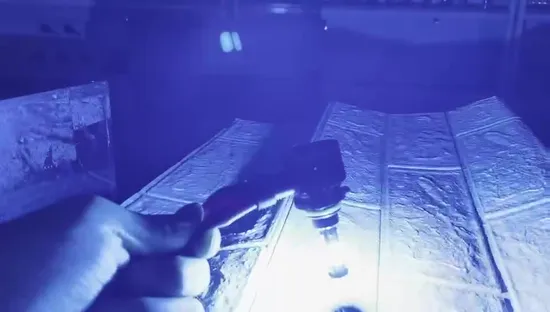 Powerful Super Bright LED Bulb LED Headlight 9005 9006 H7 H11 12V 24V 8000K Blue Light Auto Lamp Car Automobiles LED Head Lamp 